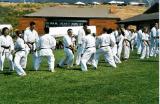 scan0024.jpg