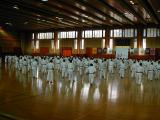 DSCN0826.JPG