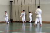 P2160003.JPG.jpg