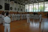 DSC_6794.JPG