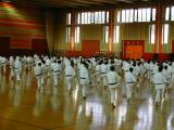 DSCN0822.JPG