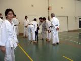 P2160001.JPG.jpg