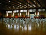 DSCN0825.JPG