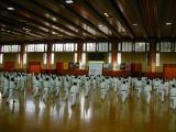 DSCN0824.JPG