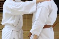 180427-29 - 25ans Ticino Shotokan 045