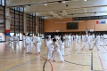 180427-29 - 25ans Ticino Shotokan 126